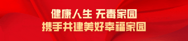 文图, bt