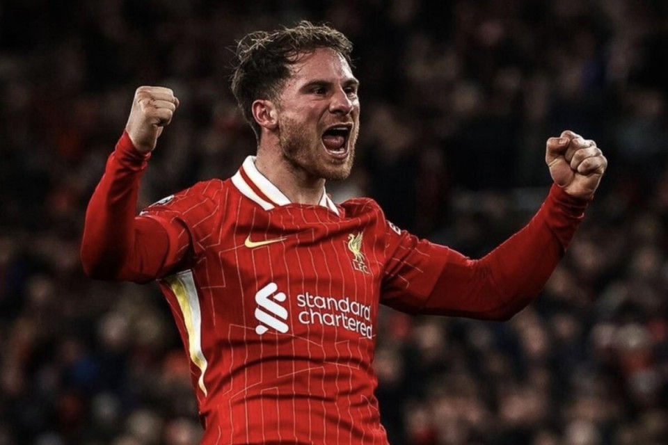 组织的同时, 而这恰恰就, ODgq